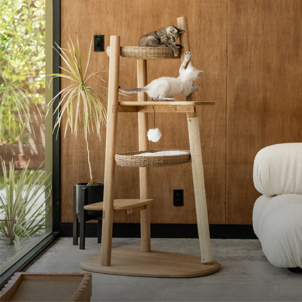 Luxury Redefined for Your Cat